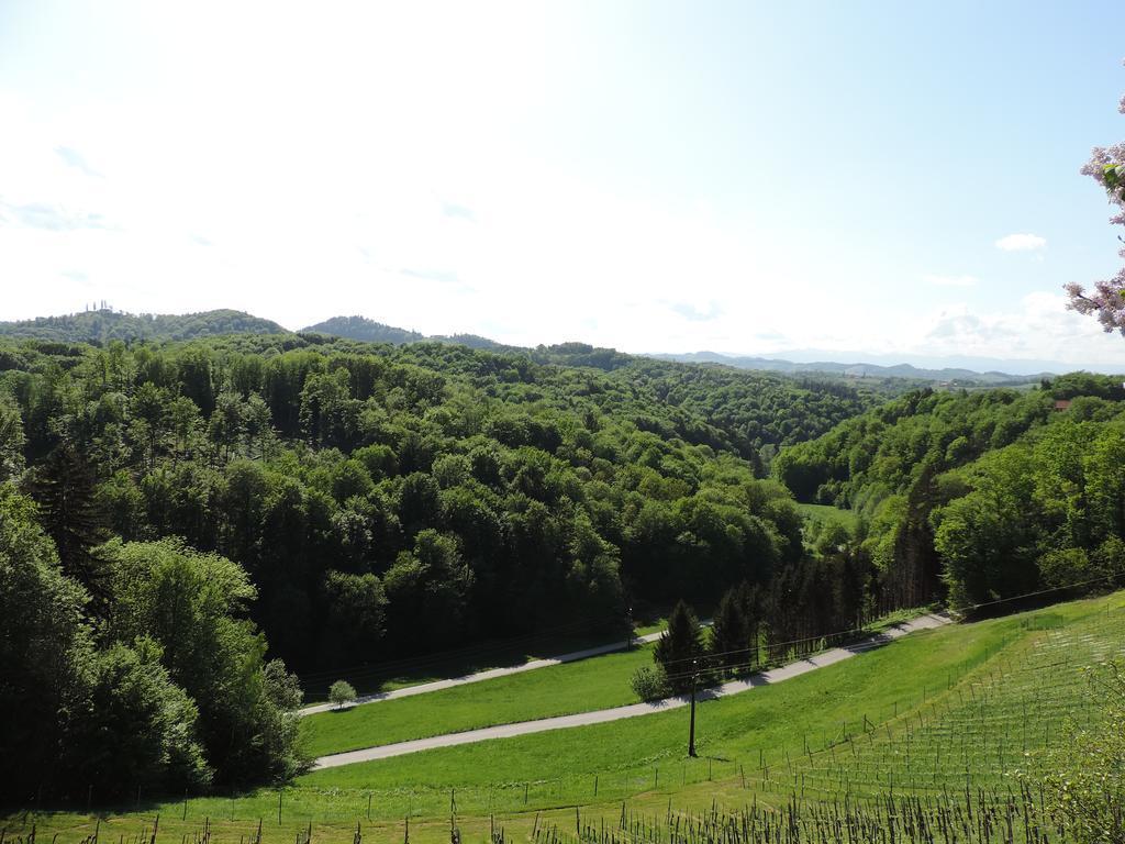 Weingut Gaestezimmer Gruber Ehrenhausen Dış mekan fotoğraf
